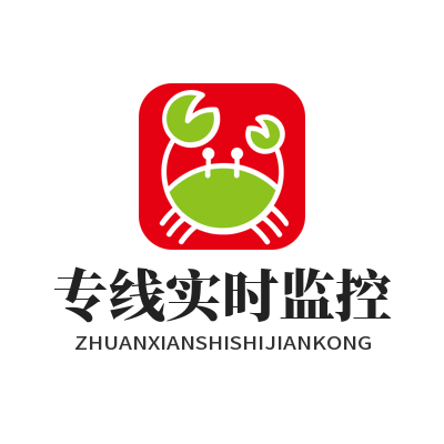 快联VPN专线实时监控